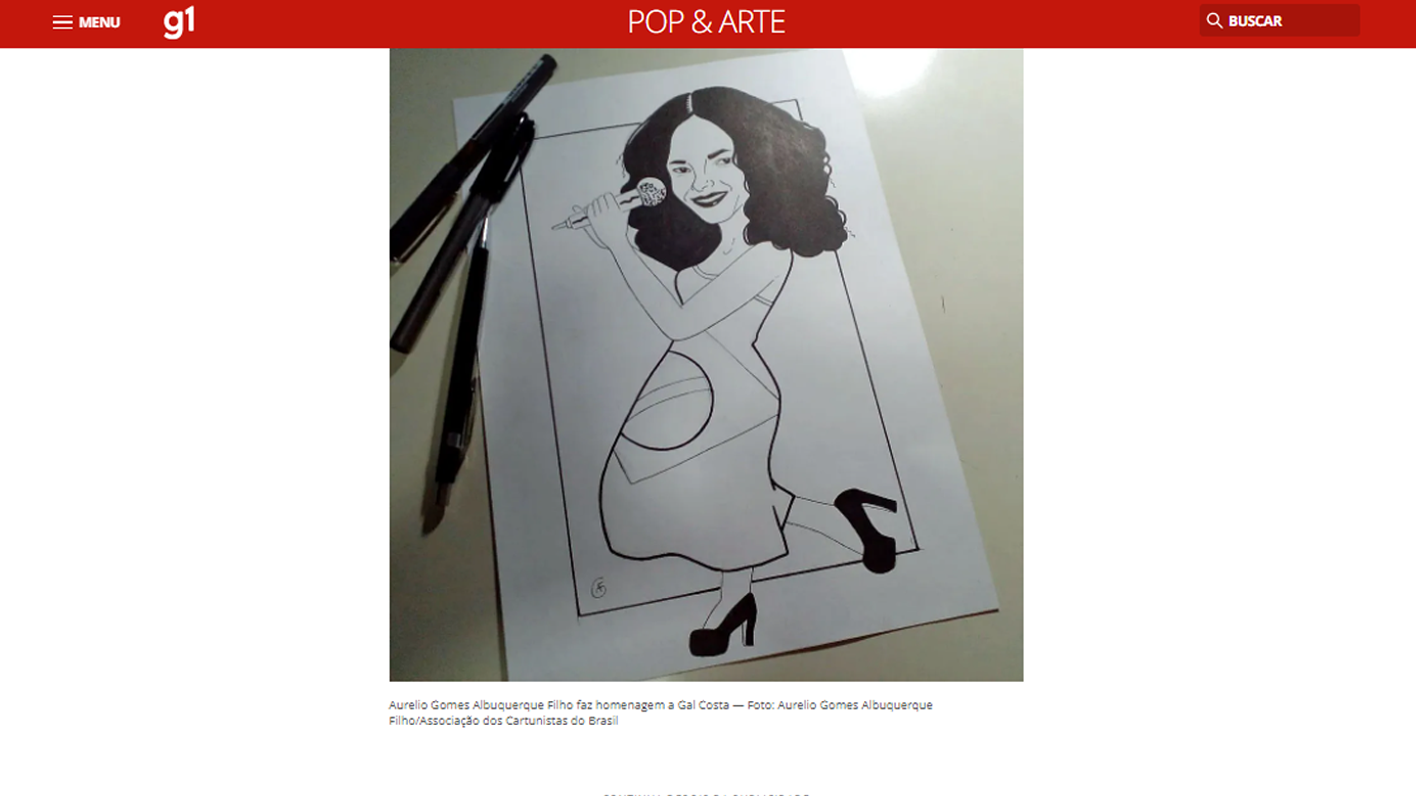 Artista da cidade de Patos tem homenagem à cantora Gal Costa exposta no site g1; Confira