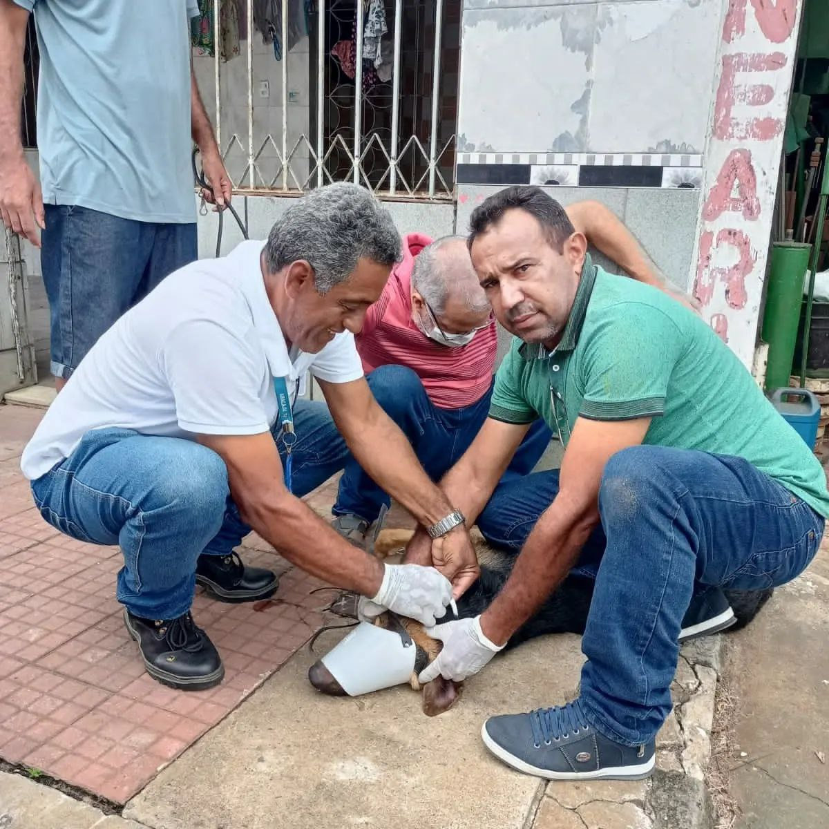 Vigilância Sanitária de Catingueira participa de capacitação em Sergipe sobre o controle da Leishmaniose canina