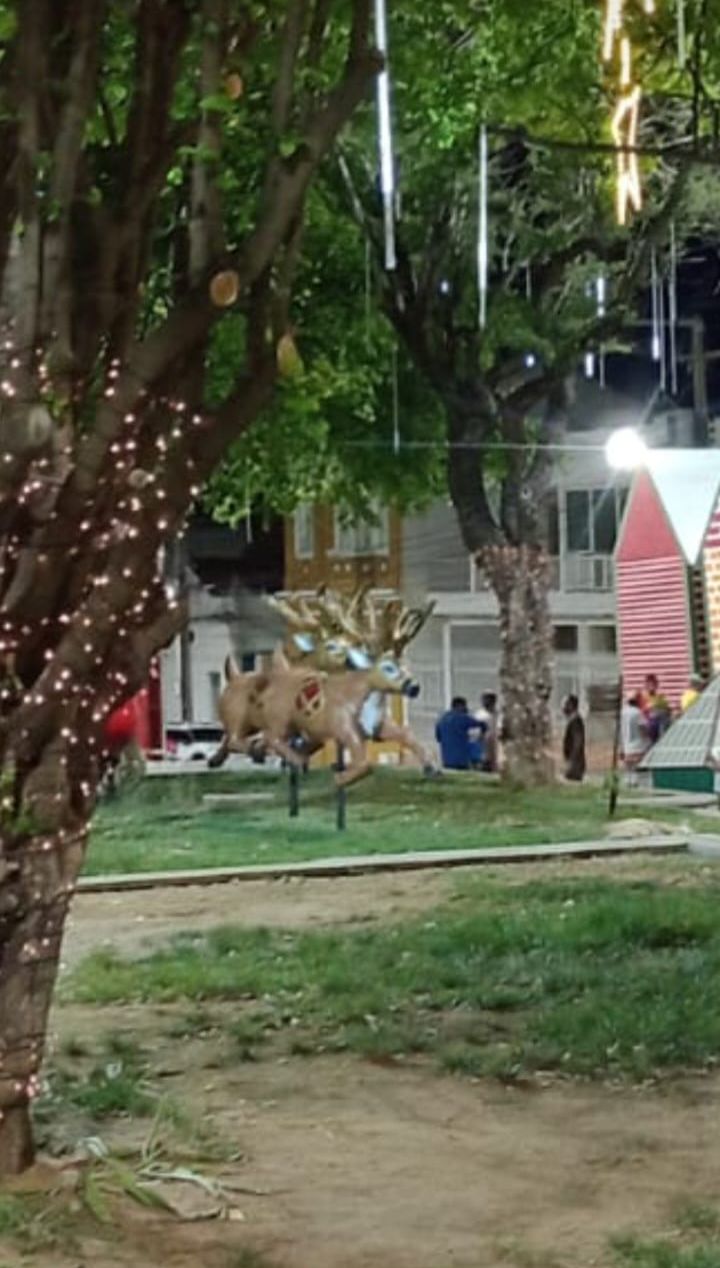 Vereador diz que Rena de decoração natalina que custa R$ 8 mil, está com avarias; gestão rebate e diz que objeto foi alvo de vandalismo