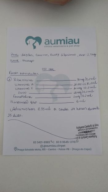 Internauta cria vaquinha para custear tratamento de filhote de Husky Siberiano com sintomas de cinomose e pneumonia. Veja como ajudar