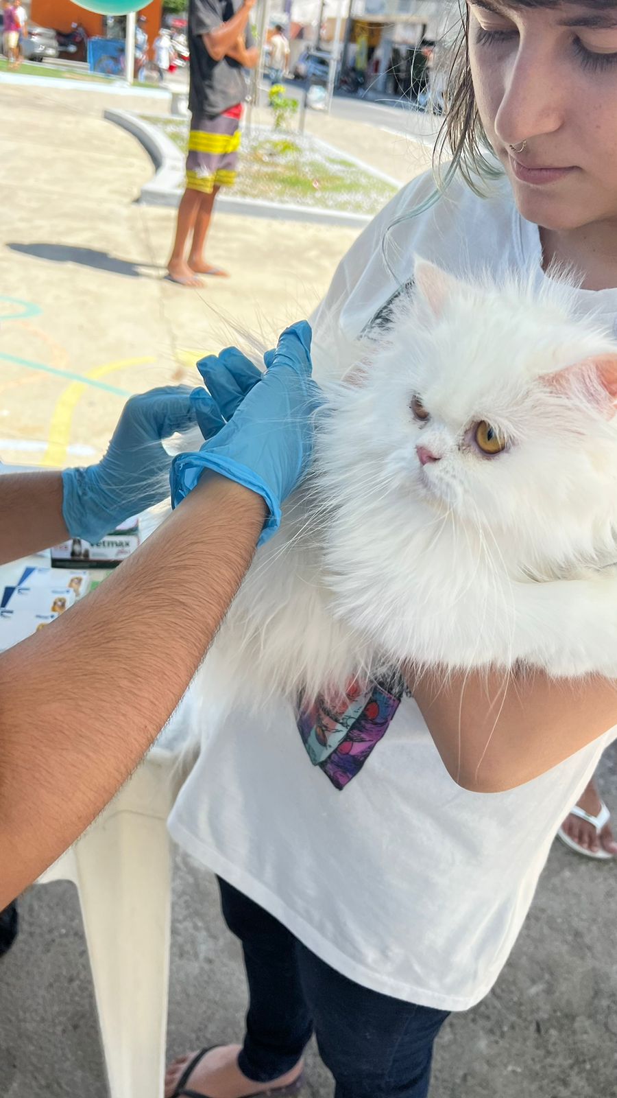 Coordenadora do Projeto Saúde Única, da UFCG, agradece participação da população na ação deste sábado (10), no bairro do Jatobá