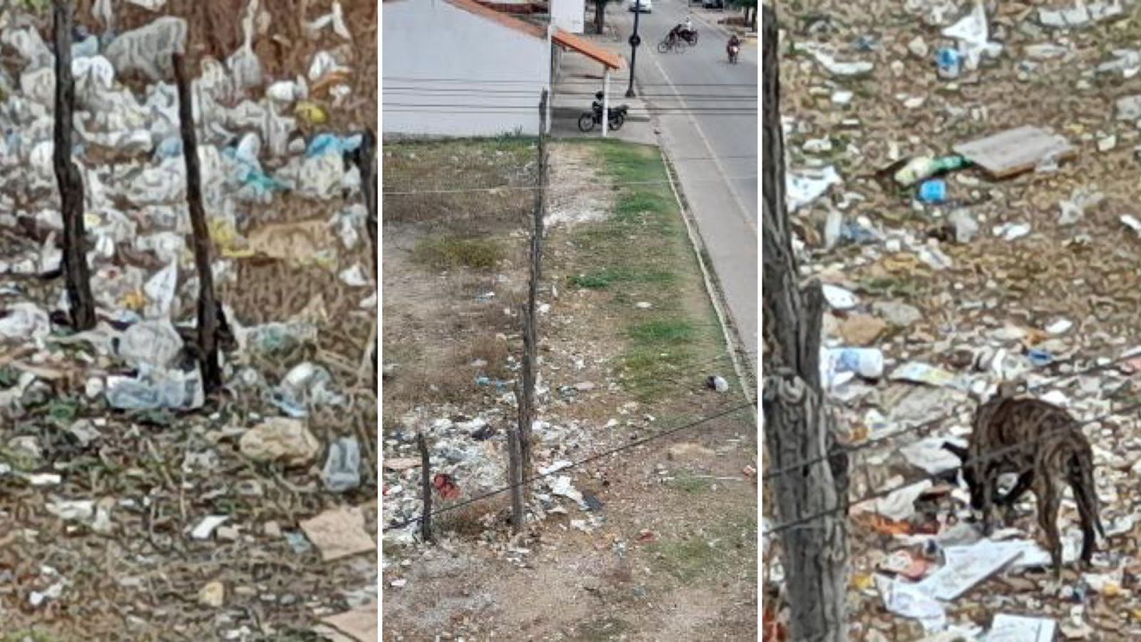 Moradora do bairro Monte Castelo relata que terreno está sendo utilizado como depósito de lixo por populares e pede lixeira no local; Secretário responsável diz que aguarda chegada de contêiner
