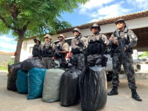 Após perseguição, Polícia Militar apreende em Catingueira, mais de 60Kg de maconha e prende suspeito de tráfico natural da cidade de Patos
