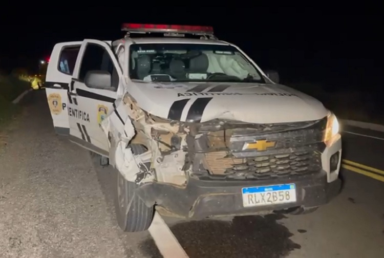 Viatura da Polícia Científica de Cajazeiras colide em vaca na BR-230, no município de Pombal