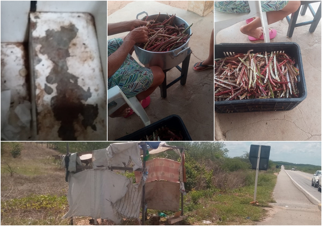 Mulher que vende feijão às margens de rodovia em São Mamede e teve seu freezer queimado, faz apelo por ajuda para conseguir outro