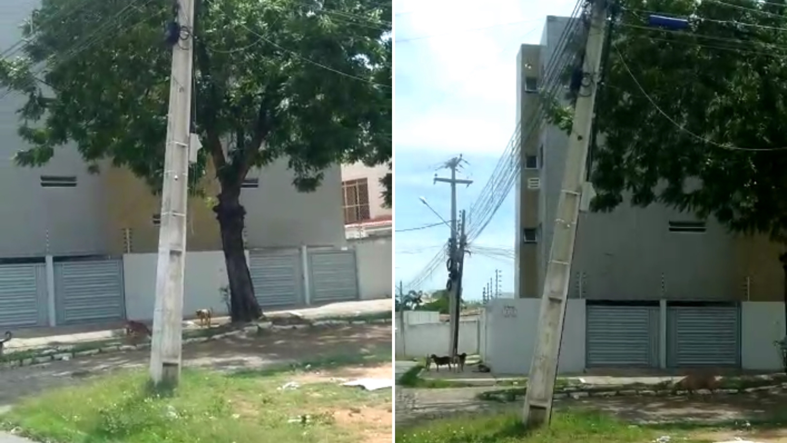 Internauta alerta para perigo de poste de energia prestes a cair no bairro Brasília, em Patos