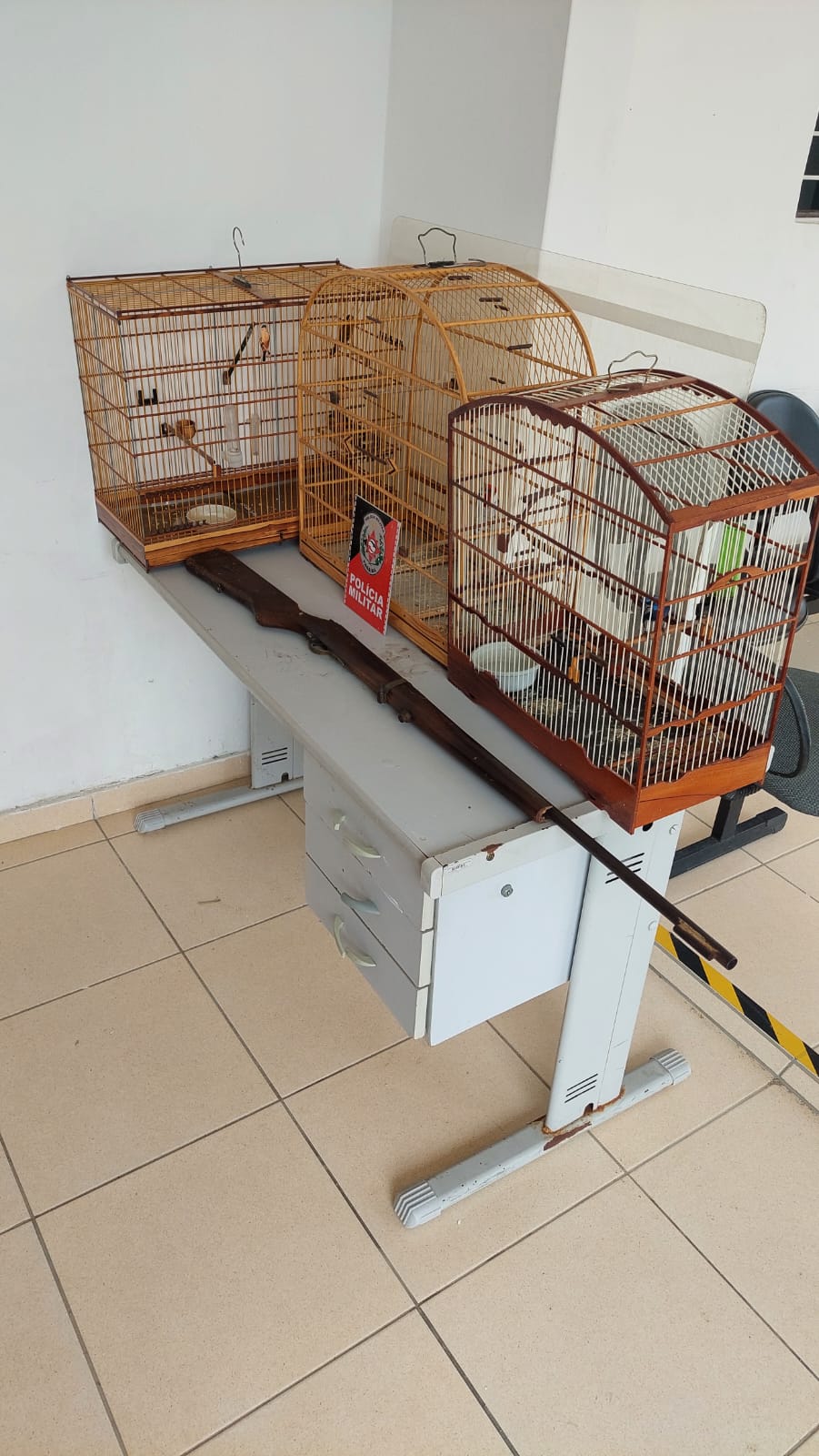 Polícia Militar detém homem suspeito de praticar crime ambiental e posse de arma de fogo no Sertão