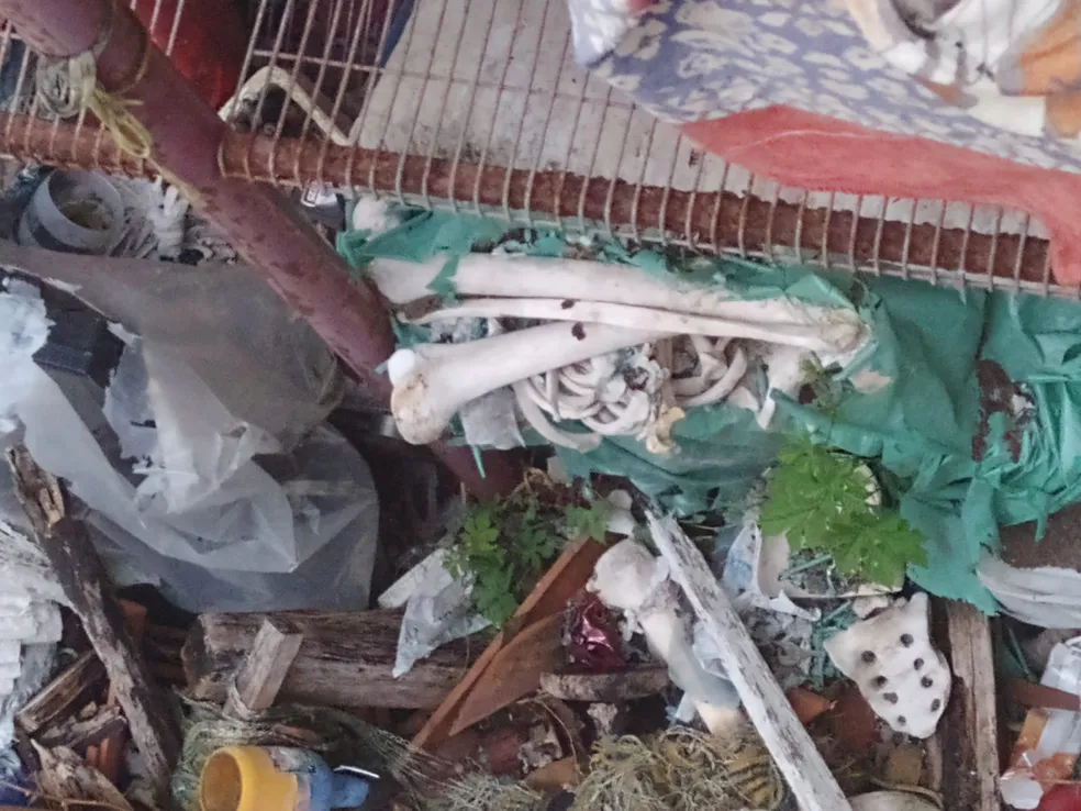 Polícia encontra ossada de filho em casa de mãe morta há 10 anos, na Paraíba