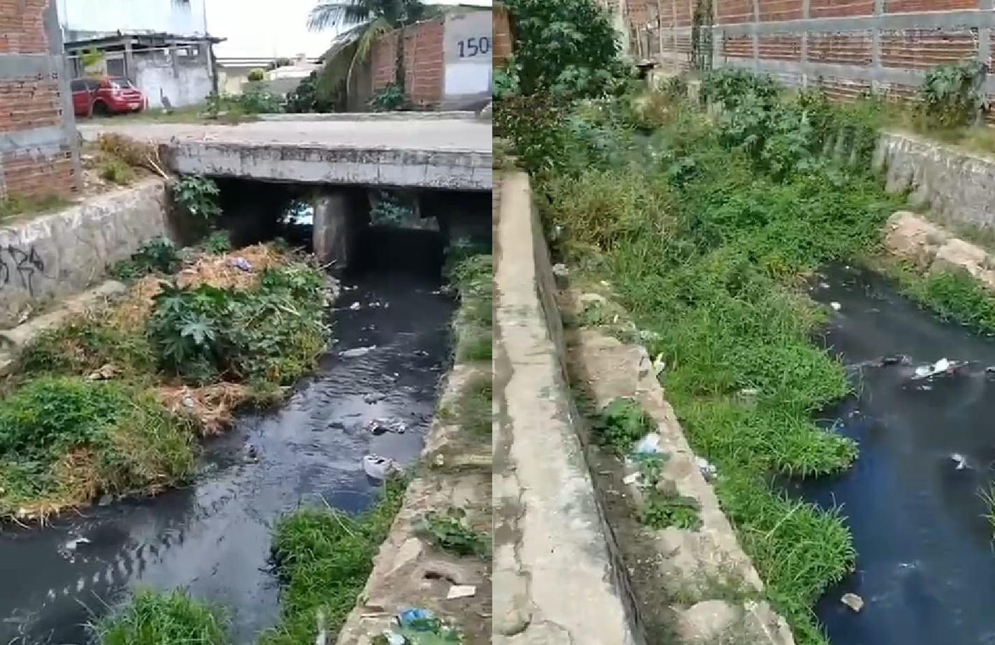 Em vídeo, moradora cobra da Prefeitura de Patos, limpeza do Canal do Morro; gestão diz que demanda entrará no cronograma de serviços