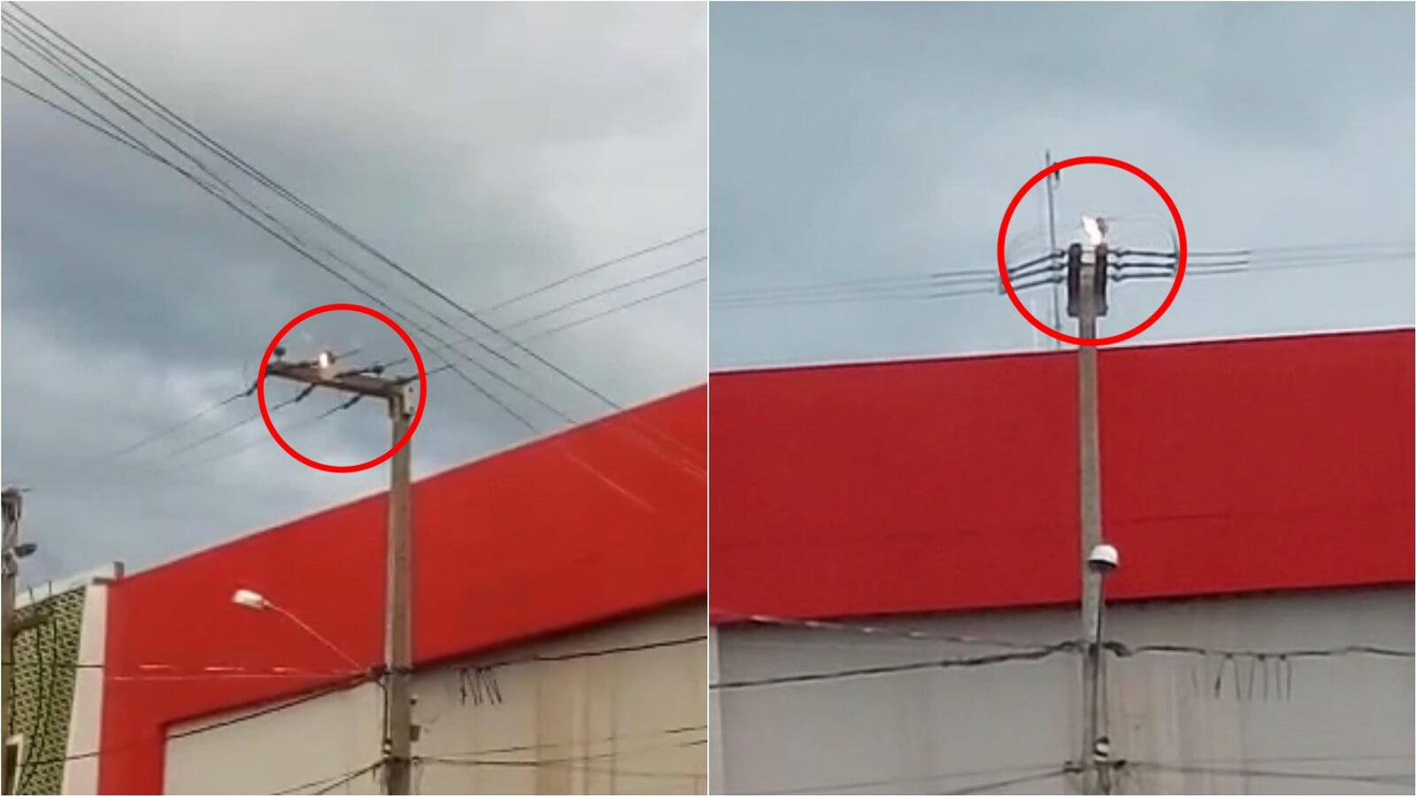 Fogo é registrado em poste no final da tarde desta quarta-feira (18), no Centro de Patos. VÍDEO