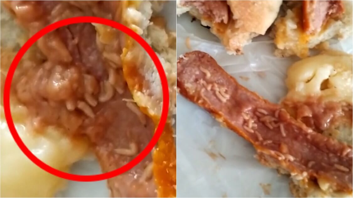 Jornalista registra queixa contra estabelecimento comercial de Patos após encontrar larvas dentro de comida