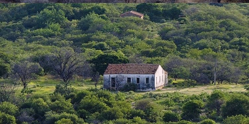 VIOLÊNCIA: Aumento de roubos e furtos na zona rural de Patos preocupa homem do campo. Ouça 