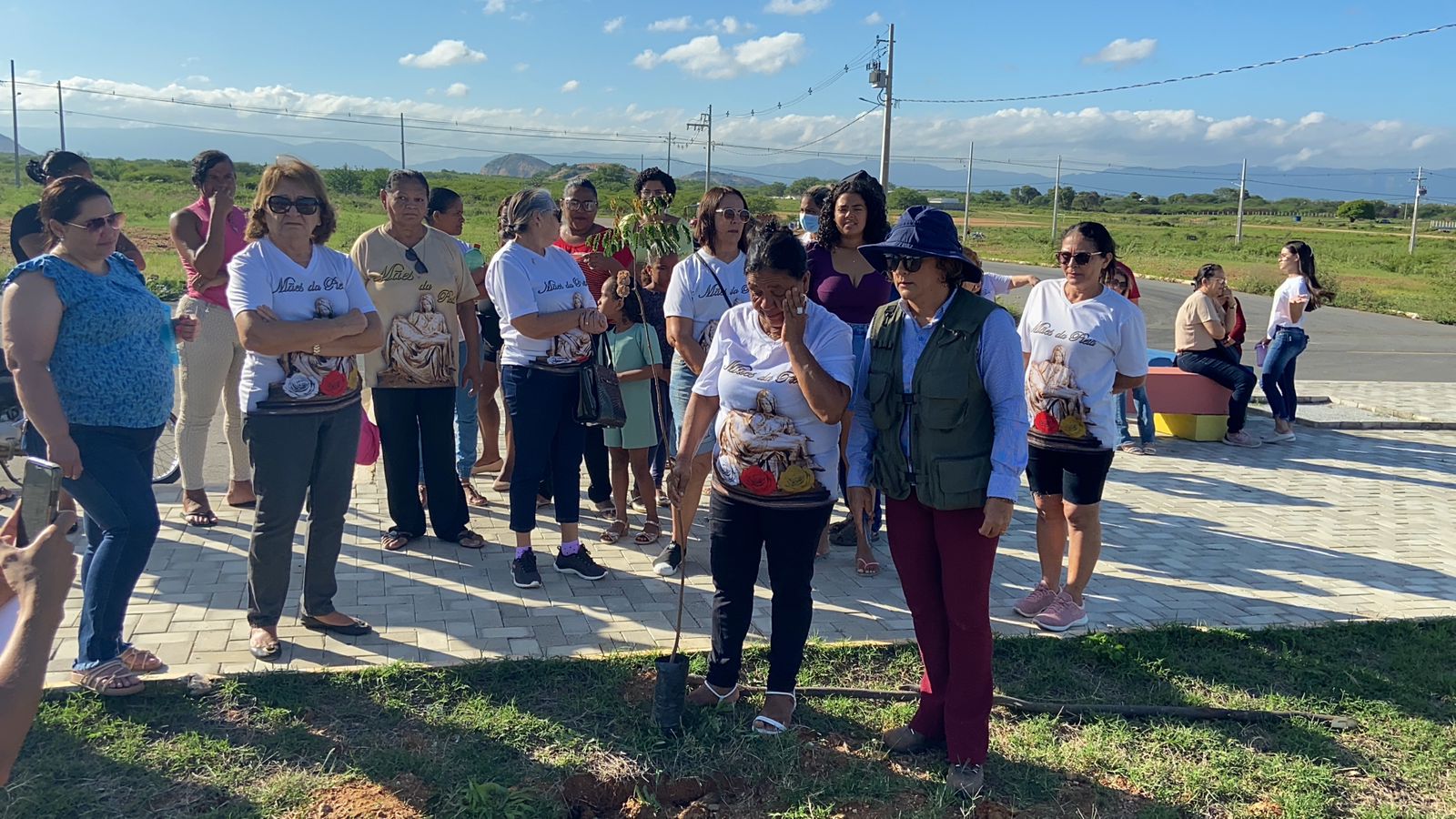 Projeto Árvores da Vida segue plantando mudas na Alça Sudeste, em Patos