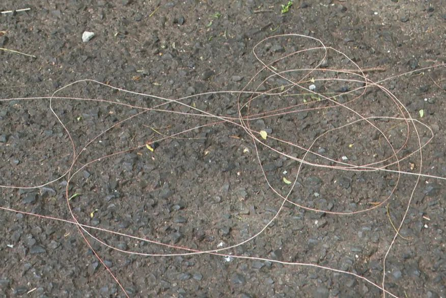 Motociclista morre ao ter pescoço cortado por linha de pipa com cerol, em São Paulo