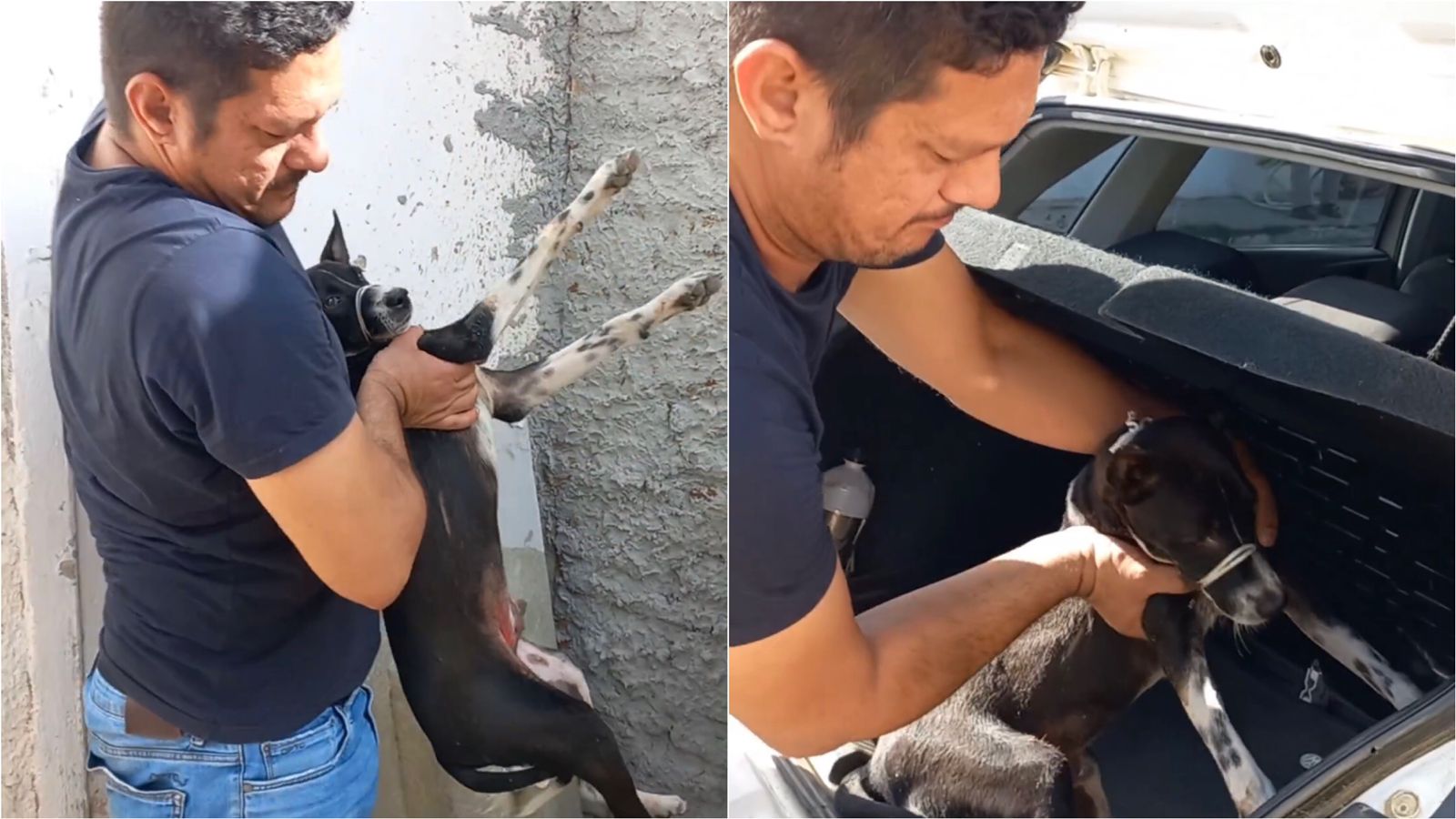 Vereador Sargento Patrian faz resgate de cão de rua que teria sido atropelado por carro do Conselho Tutelar no bairro Juá Doce, em Patos. VÍDEO