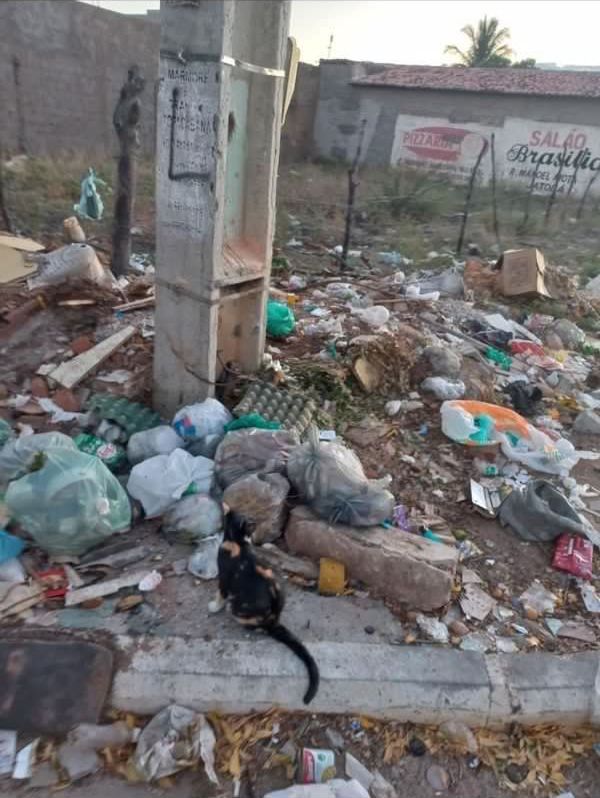 Secretário de Serviços Públicos de Patos diz que haverá punição para ruas que depositarem lixo ao redor dos contêineres coletores; Ouça