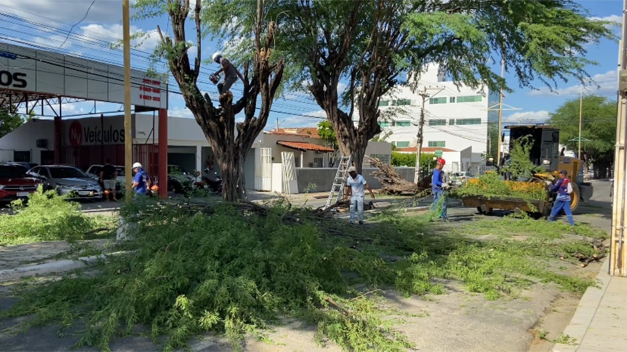 Prefeitura de Patos realiza remoção de três algarobas que estavam prestes a cair da Rua Pedro Firmino