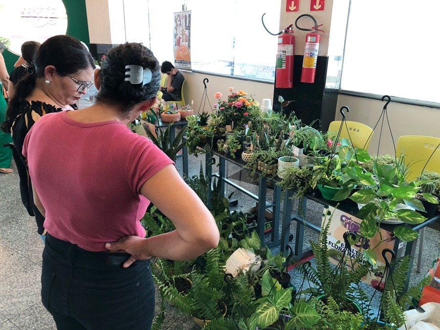 II Festival Flora & Arte incentiva a economia local e fomenta o trabalho de produtores de plantas ornamentais e artesanato