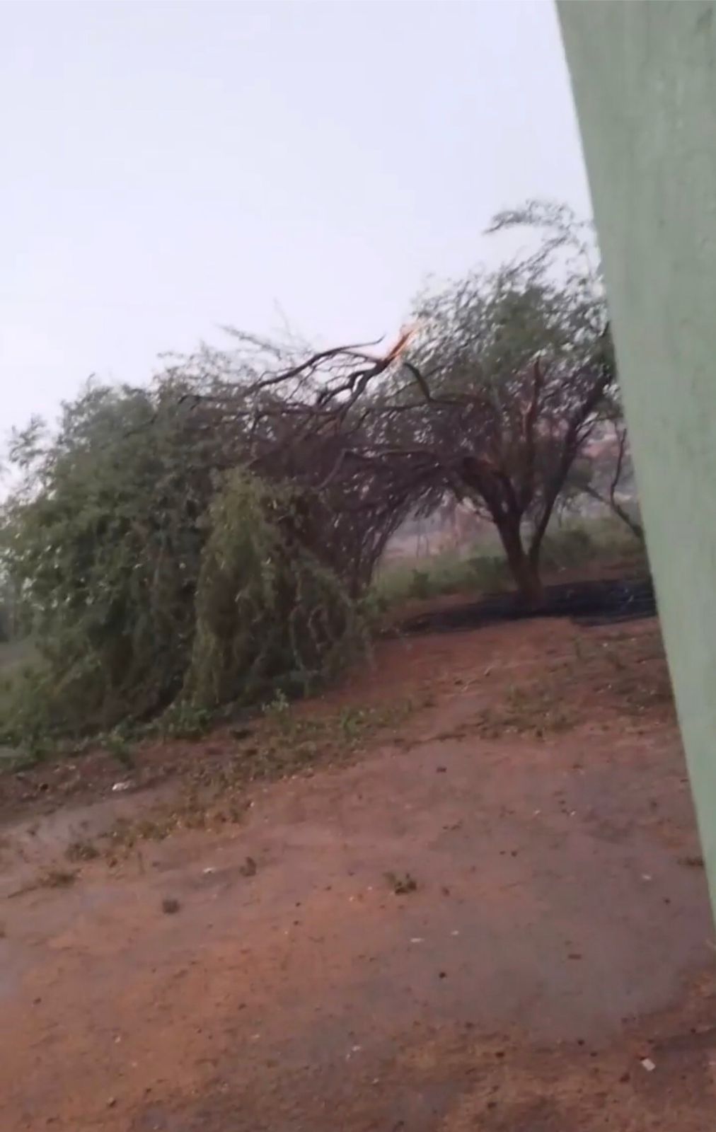 Relâmpagos e raios iluminam Patos e cidades da região na noite desta sexta-feira (17); ventania derrubou árvore na comunidade Campo Comprido. VÍDEO