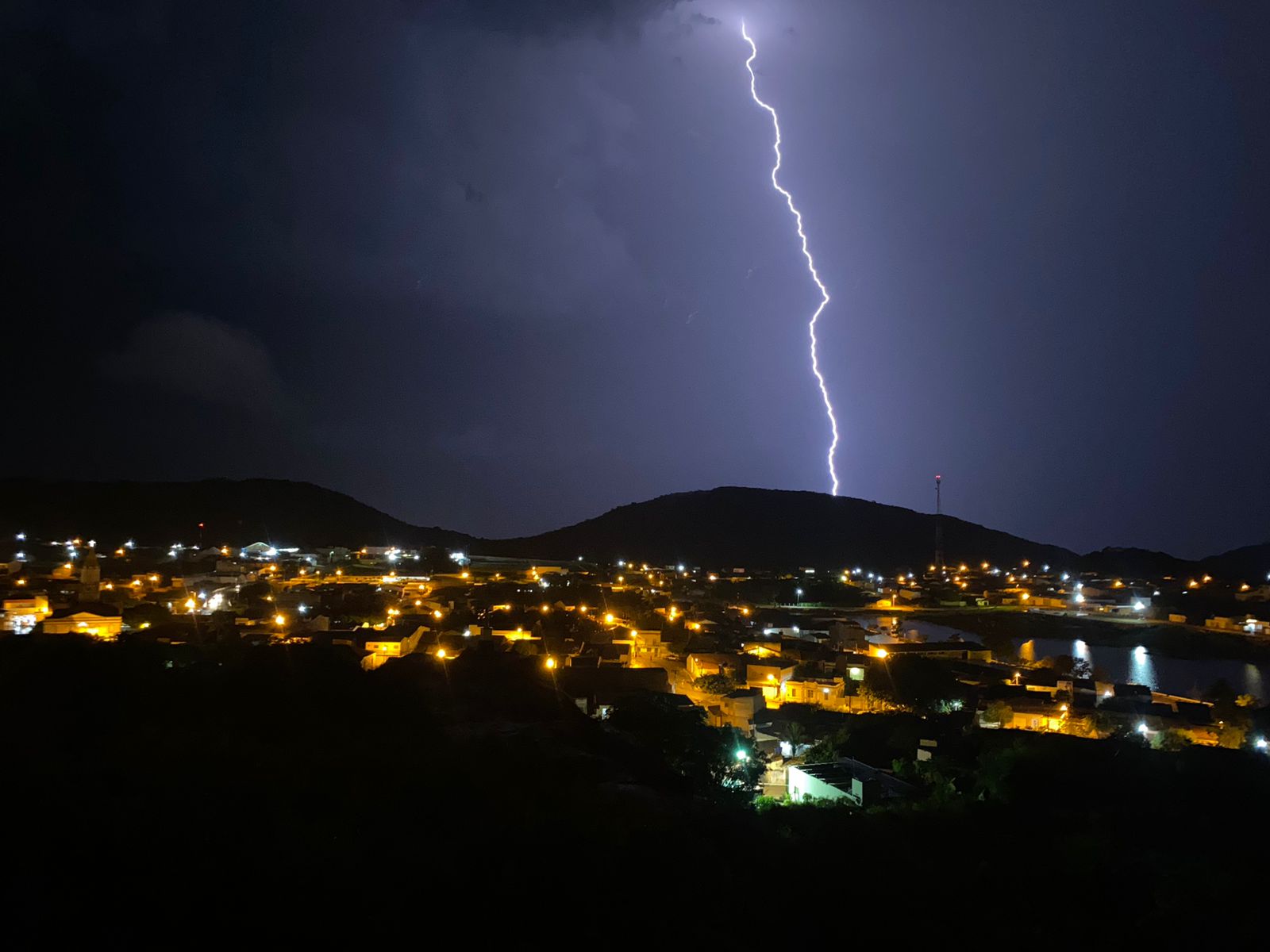 Popular do bairro Bivar Olinto que alimenta animais de rua na localidade busca ajuda com doações de ração