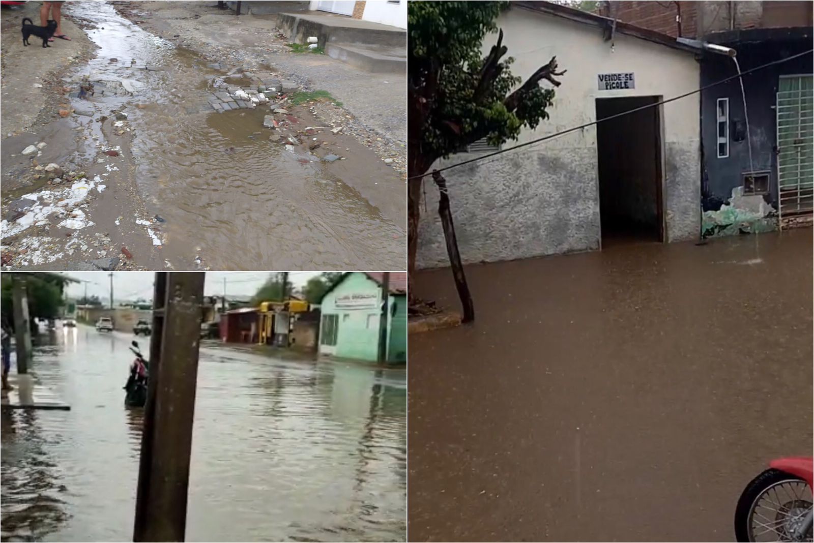 Moradores relatam alagamentos e transtornos em ruas de Patos após chuvas na tarde desta quarta-feira (22). Veja vídeos