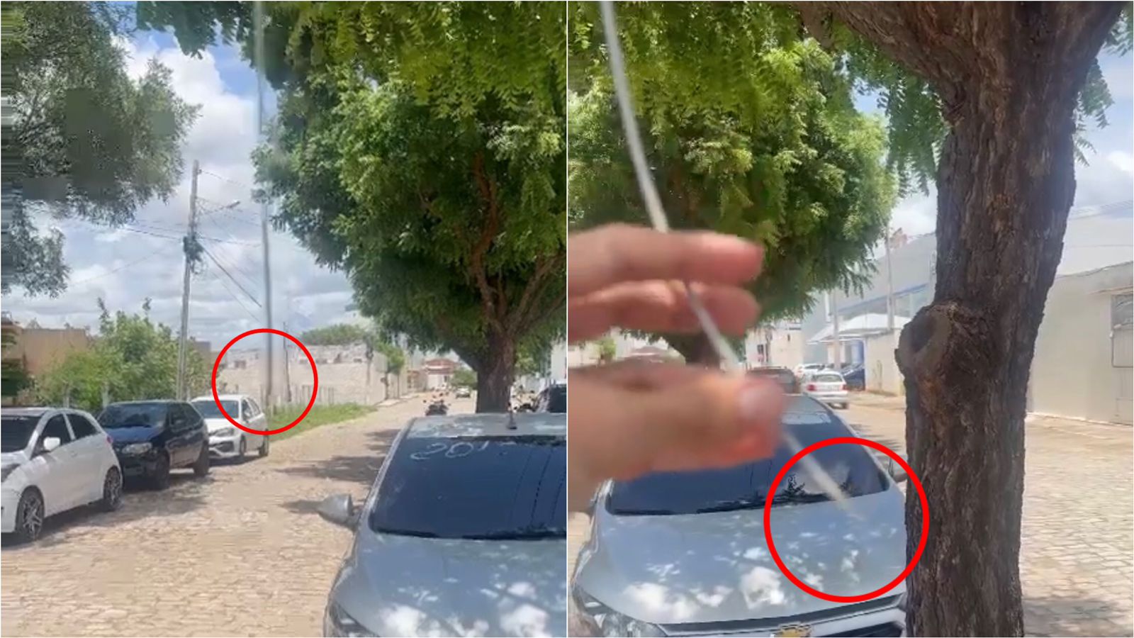 Após episódio de jovem que teve olho perfurado, internauta flagra novos fios de fibra óptica pendurados na Av. Lima Campos, em Patos; VÍDEO