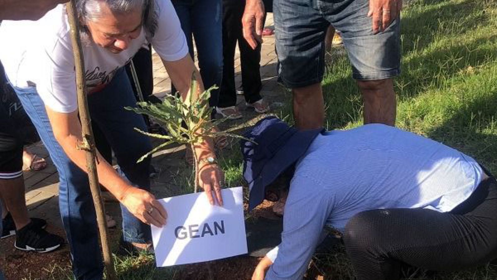 Mais 30 mudas são plantadas na Alça Sudeste em homenagem aos filhos das “Mães de Pietá”