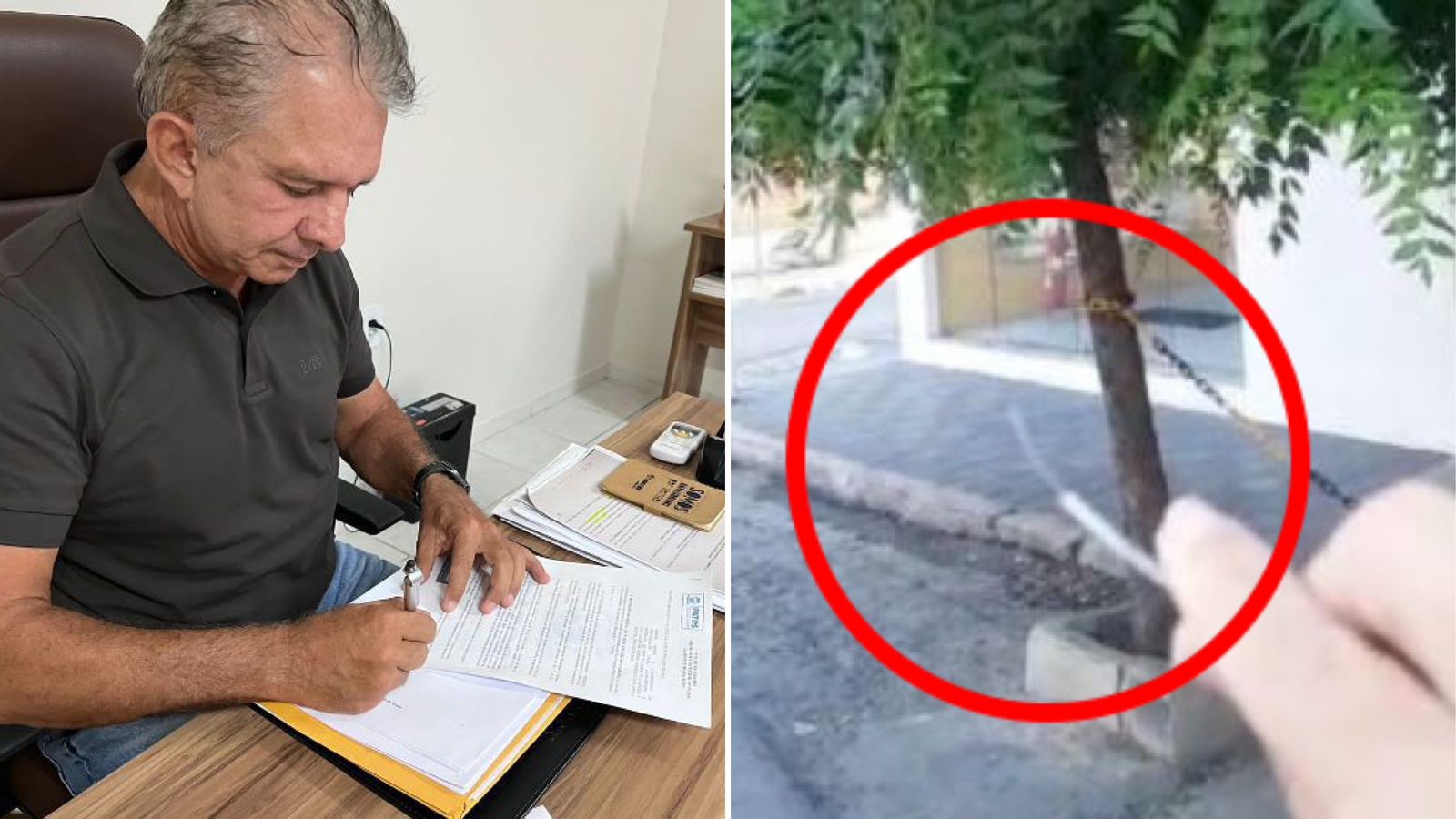 Prefeito decreta fiscalização para alinhamento e retirada de fios e cabos inutilizados em postes da cidade de Patos