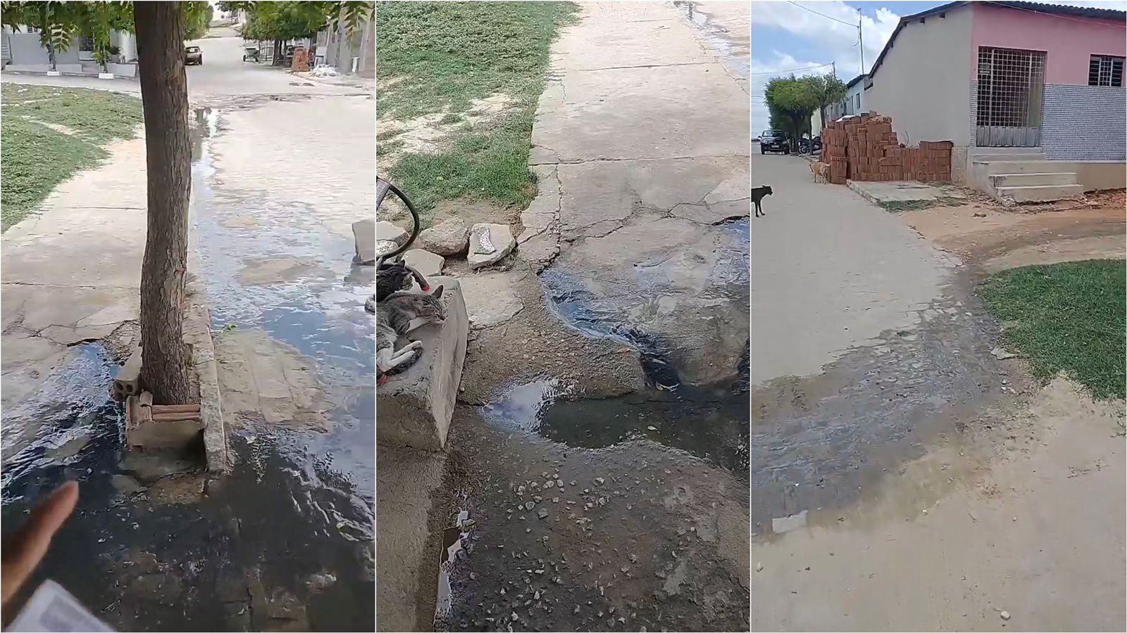 Moradora da Rua Zózimo Gurgel, no bairro Bivar Olinto, denuncia galerias estouradas e cobra providências da Prefeitura; gestão diz que demanda será atendida. VÍDEO