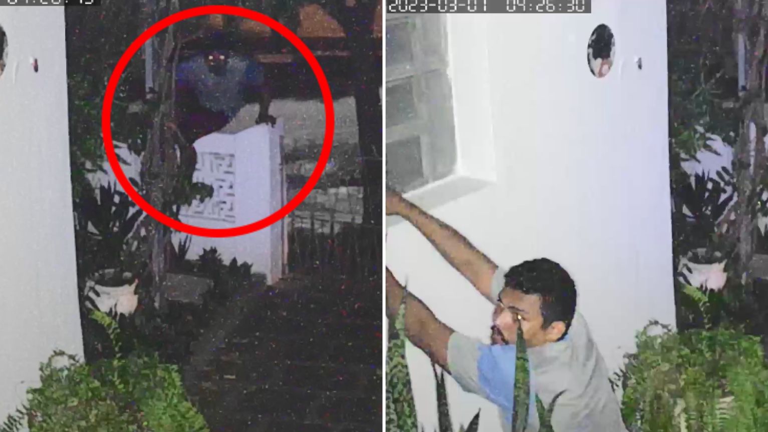Homem é flagrado furtando vasos de plantas do jardim de residência em Patos; Veja Vídeo