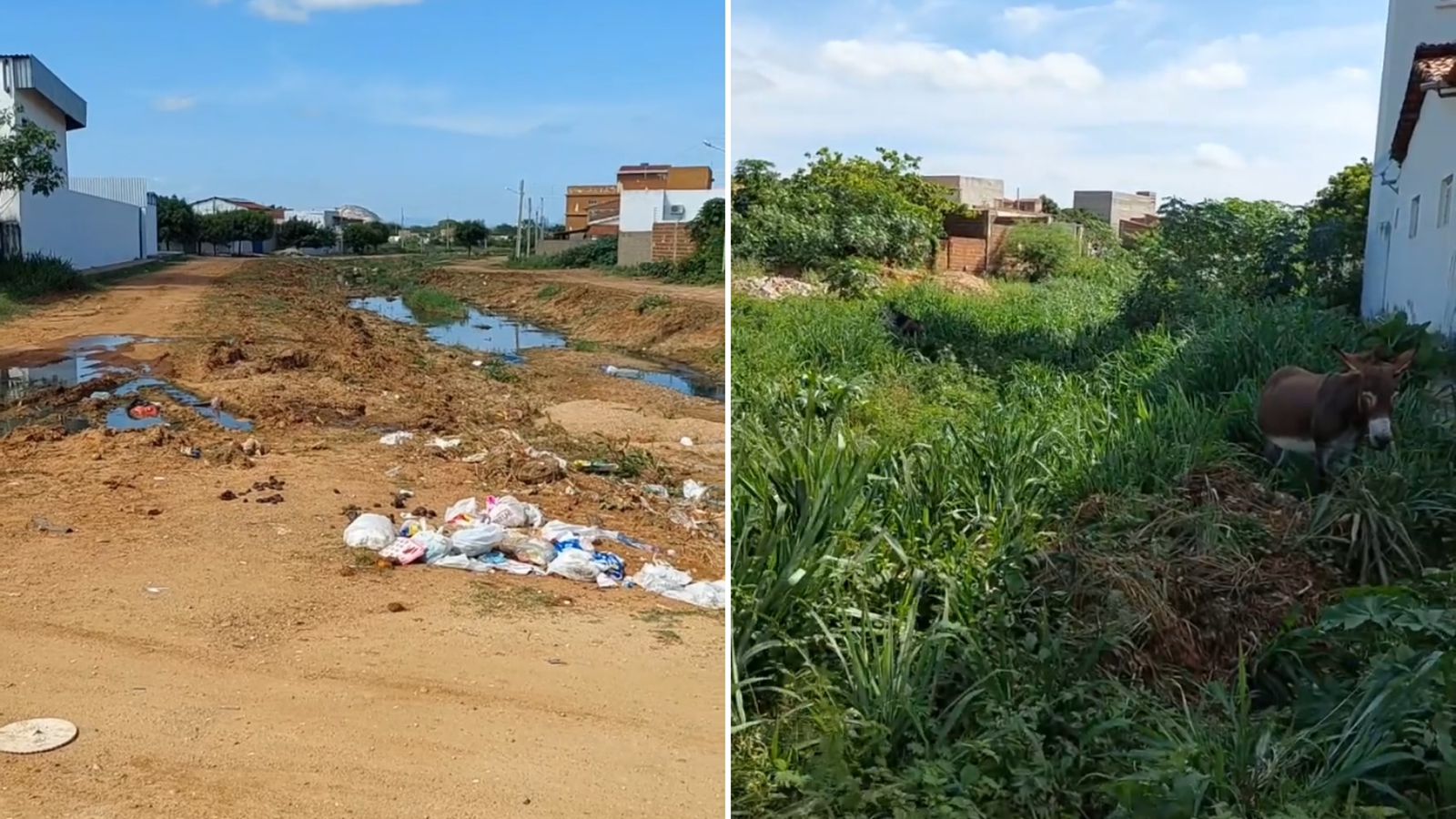 Morador cobra conclusão de limpeza no canal da Nova Brasília, em Patos; Prefeitura diz que manutenção foi iniciada e que será totalmente concluída