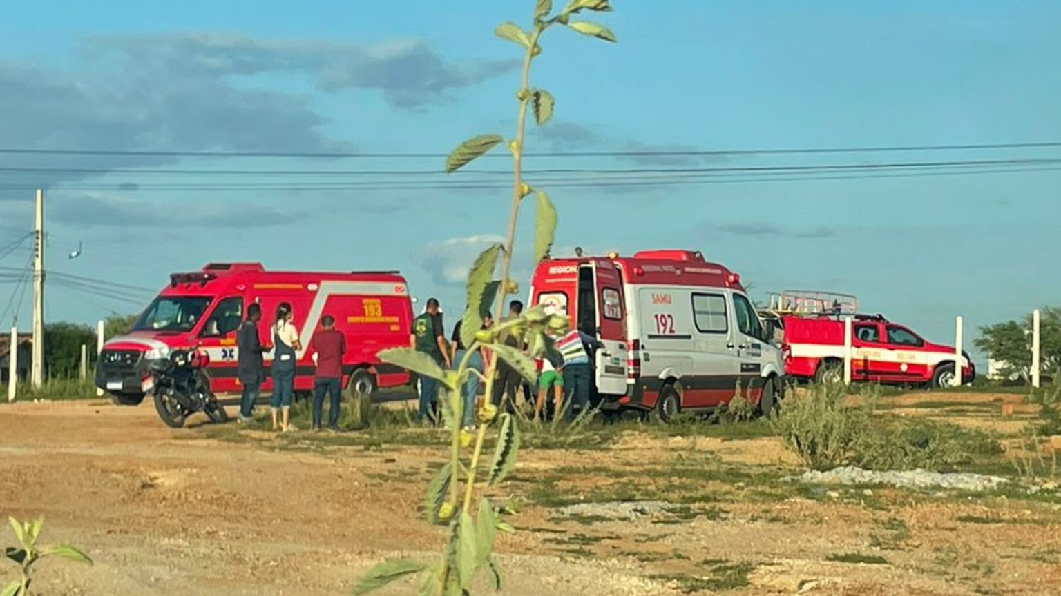 Criança vítima de ataque de abelhas se recupera bem na UTI do Hospital Infantil Noaldo Leite, em Patos, e deve receber alta para a enfermaria em breve