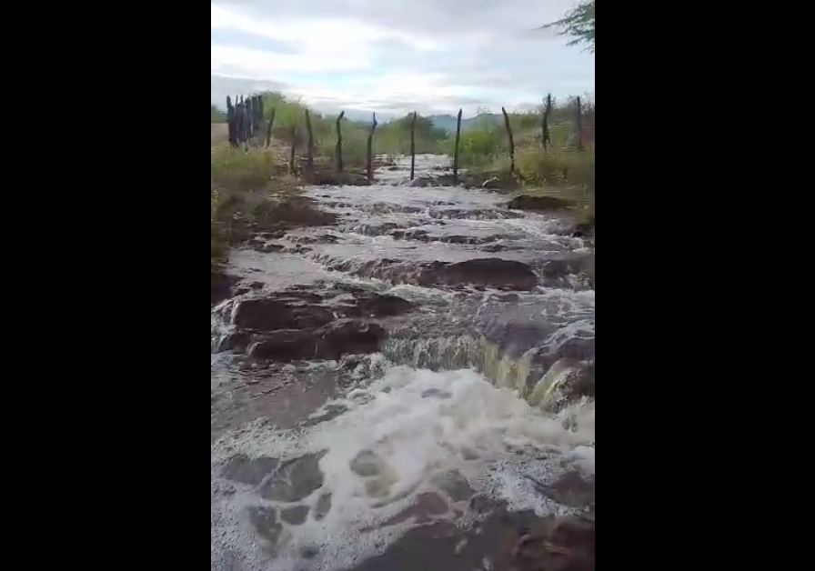 Dia de São José abençoa sertão com muita chuva e faz a esperança do sertanejo reacender. Veja os índices das grandes chuvas