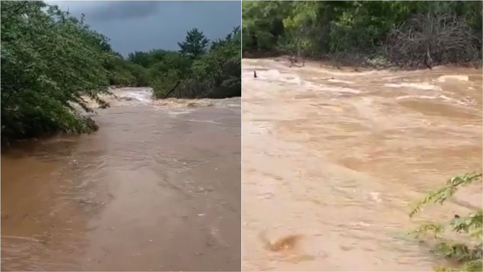 Dia de São José é com chuva na região de Patos e município de Quixaba registra 43 mm na manhã deste domingo (19); riacho desce em cheia. VÍDEO