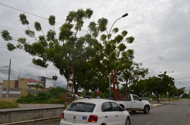 Iluminação do Canal do Frango é reestabelecida após troca de lâmpadas e serviços de reparo na rede