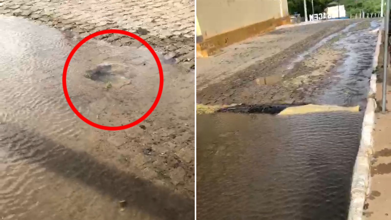 Moradora de Passagem denuncia desperdício de água potável após vazamento em encanação; Cagepa diz que enviou equipe ao local