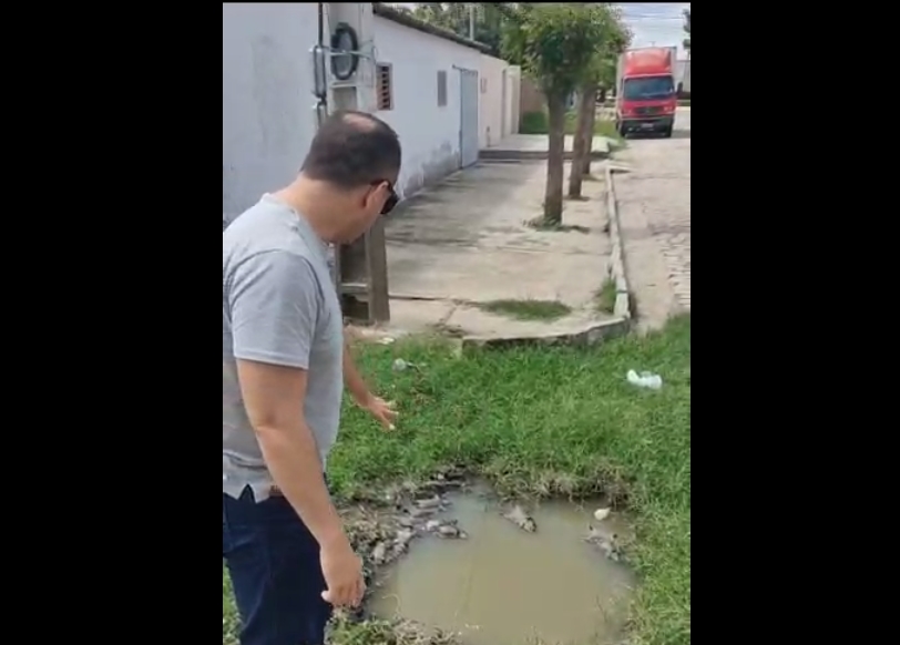 Vereador Josmá diz que encontrou ratos boiando pelas ruas de Patos. Gestão promete se pronunciar