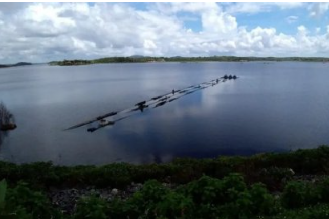 Açude de Boqueirão já recebeu mais de 43 milhões de metros cúbicos ou 9,27% em seu volume total