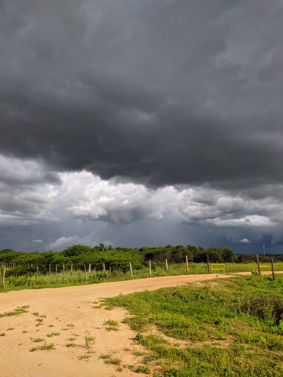 Chove bem na tarde desta quarta-feira (29) em Patos e região