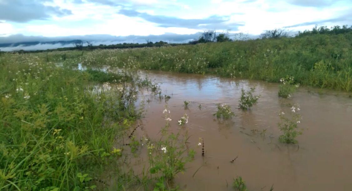 Após Açude do Tubarão transbordar, águas começam a chegar no Açude do Jatobá, que ultrapassa os 26% de sua capacidade. VÍDEO