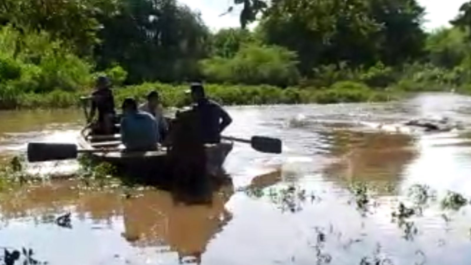 Foto: Reprodução/Internauta 