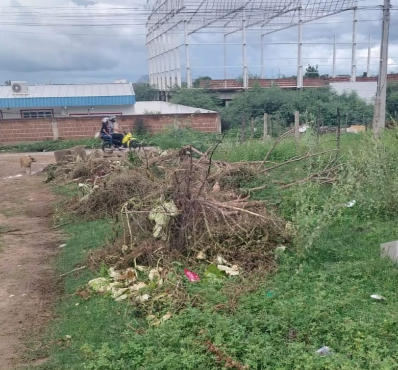 Moradores da Zona sul de Patos pedem limpeza de terrenos próximos ao antigo Campo de Totô e secretário de Serviços Públicos dá explicações sobre o caso. Ouça