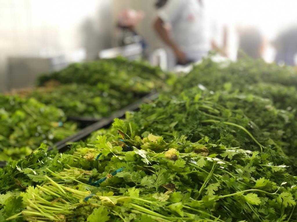 Inauguração da UDAF fortalece a agricultura familiar e garante segurança alimentar para famílias vulneráveis de Patos