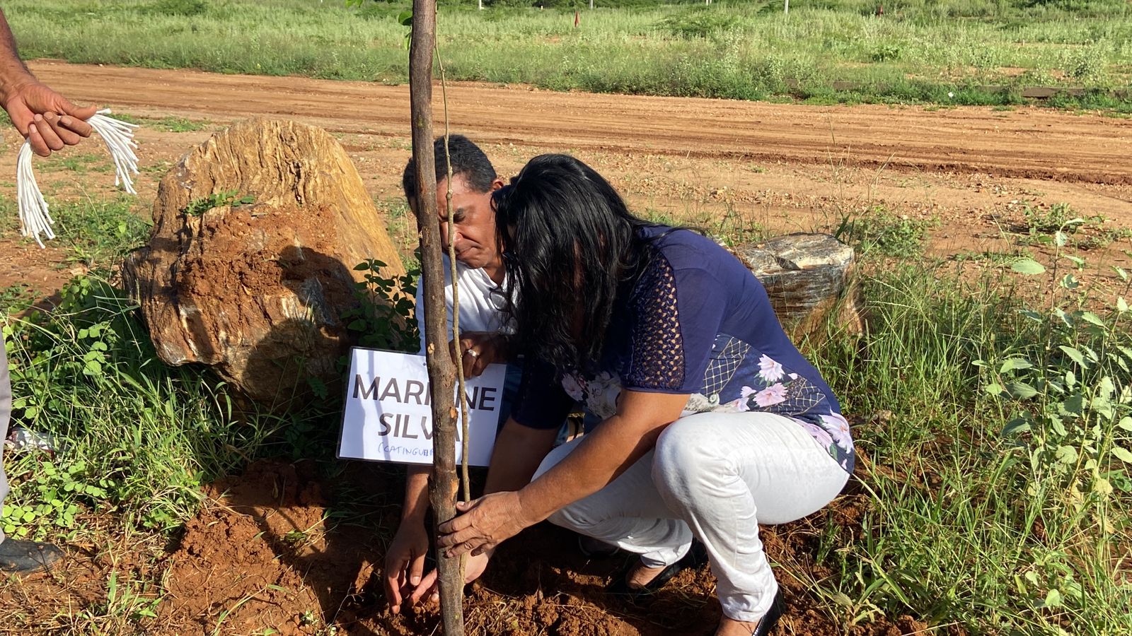 Projeto Árvores da Vida chega a mais de 100 árvores plantadas ao longo da Alça Sudeste, em Patos