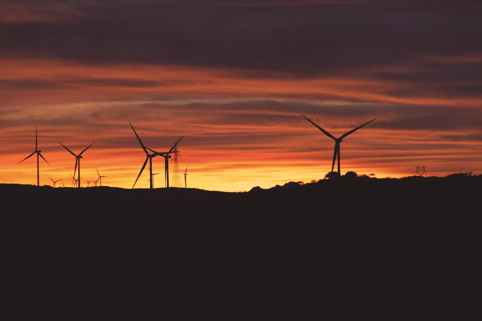 Foto: Divulgação/Neoenergia 