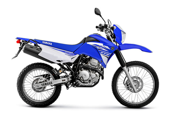 Trabalhador oferece recompensa para quem encontrar placa de sua moto que caiu do veículo enquanto ele estava indo para o trabalho na manhã desta segunda-feira (03), em Patos