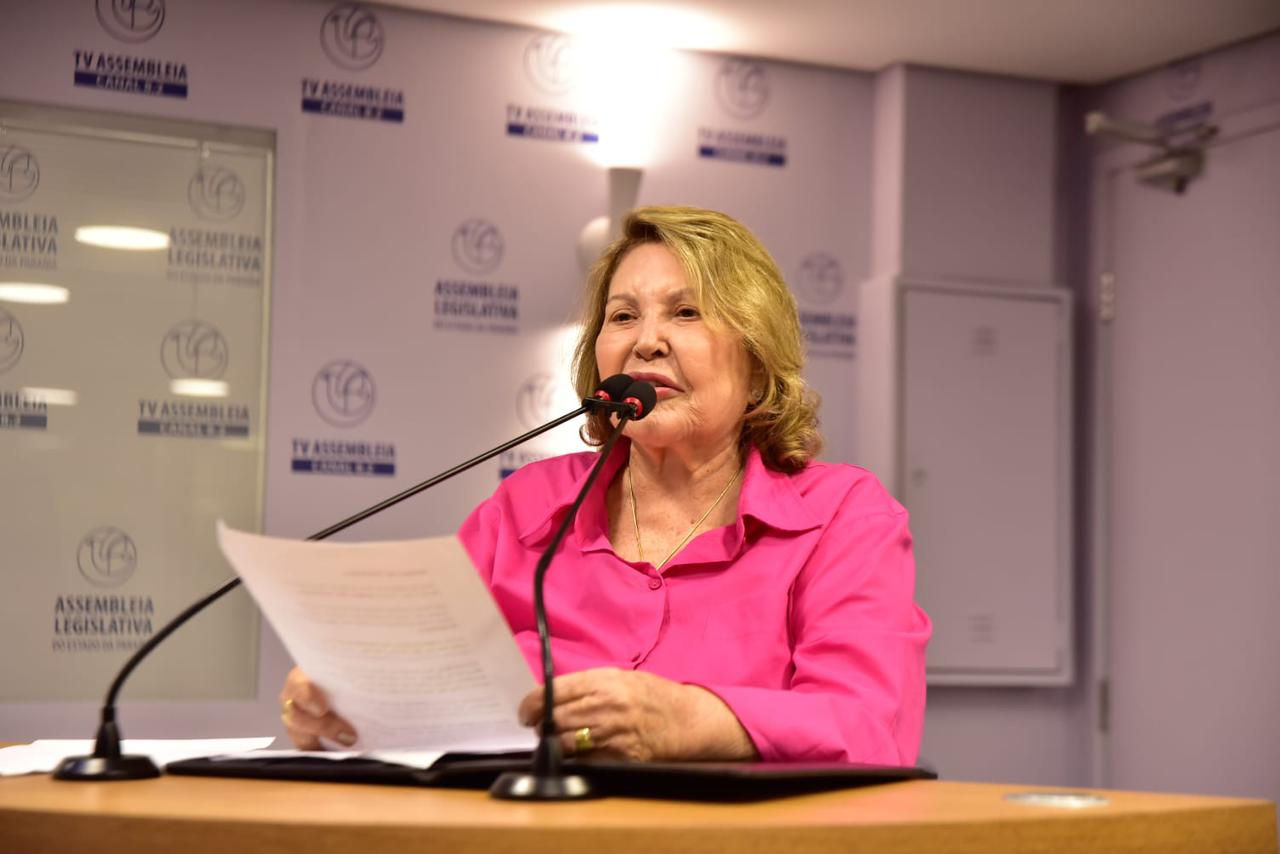 Deputada aprova Política Estadual de Valorização da Vida e suplementação para o artesanato paraibano