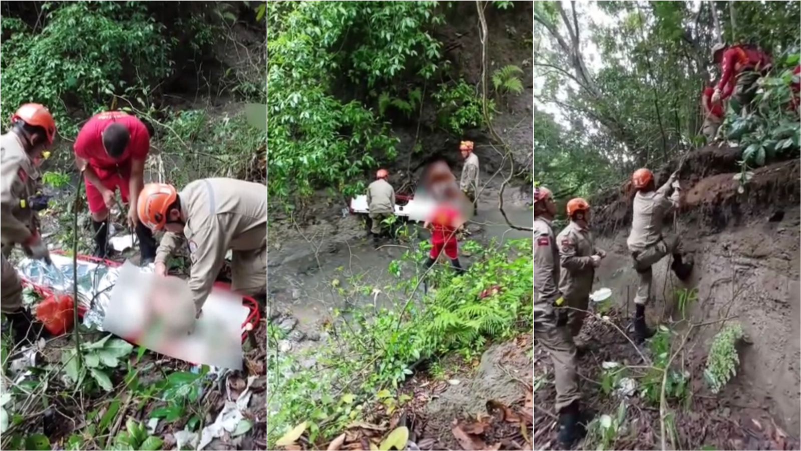 Divulgadas imagens de resgate de idoso que estava desaparecido em mata, na Paraíba. Veja