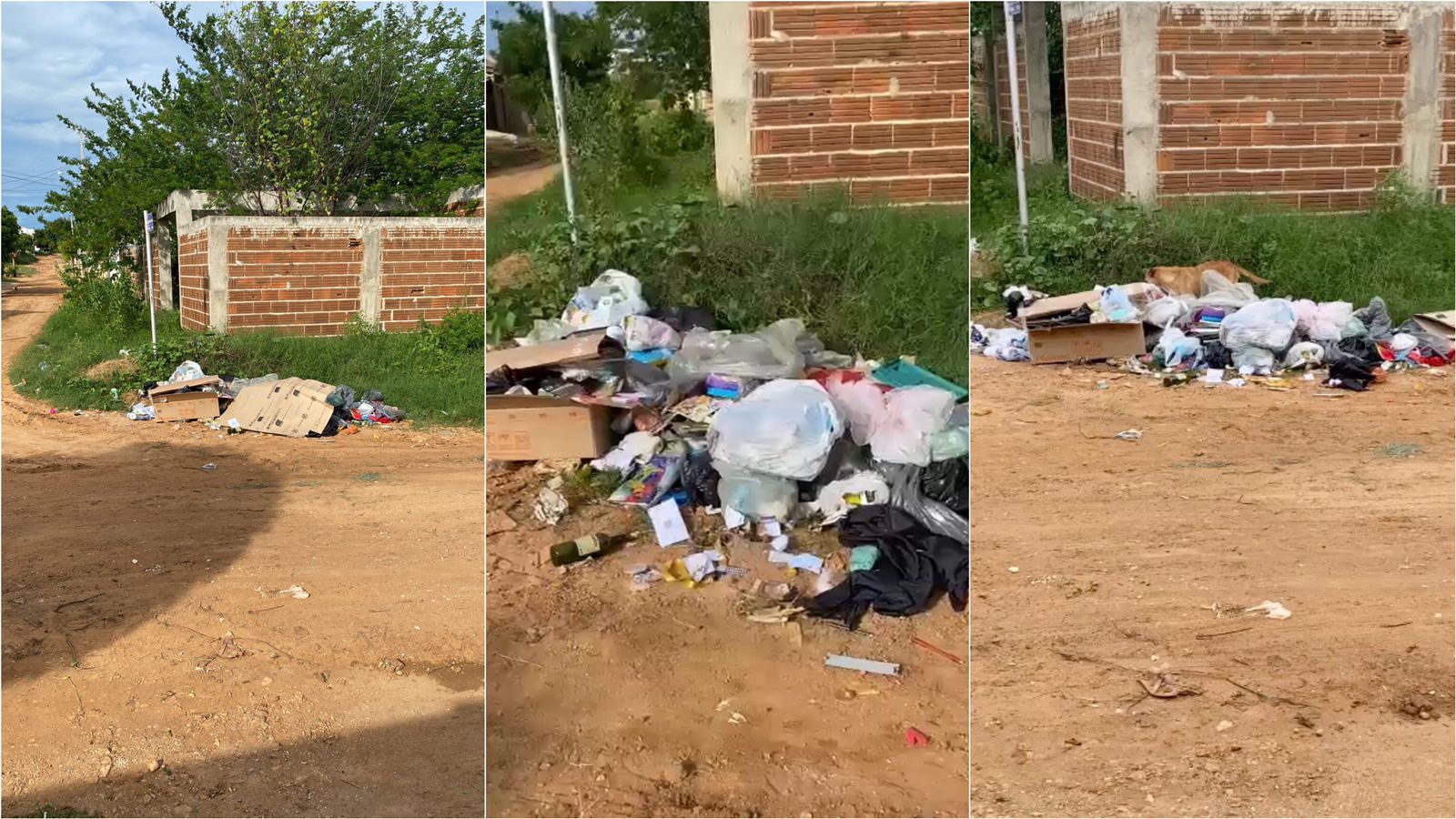 Moradora da Rua Manoel Torres, no bairro Nova Brasília, cobra conscientização das pessoas com relação ao lixo: 