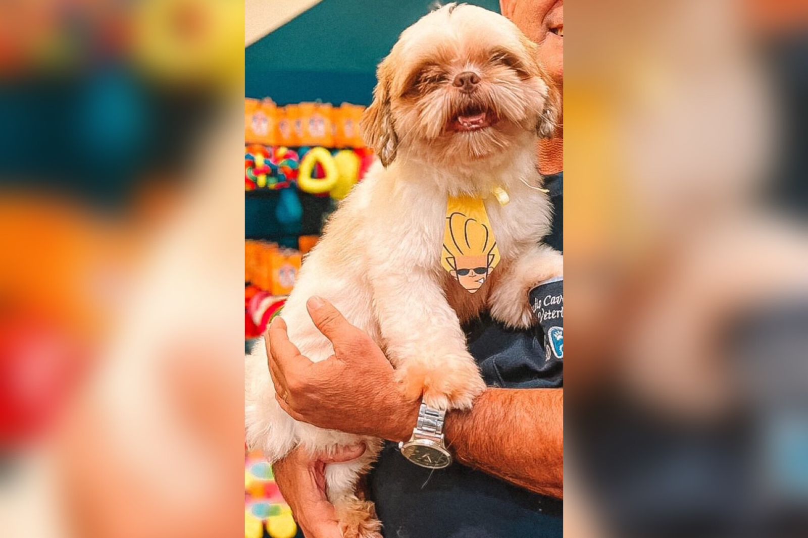 Em Patos, mulher procura cachorro de estimação que está desaparecido desde a última quinta-feira (20) e oferece recompensa para quem encontrar